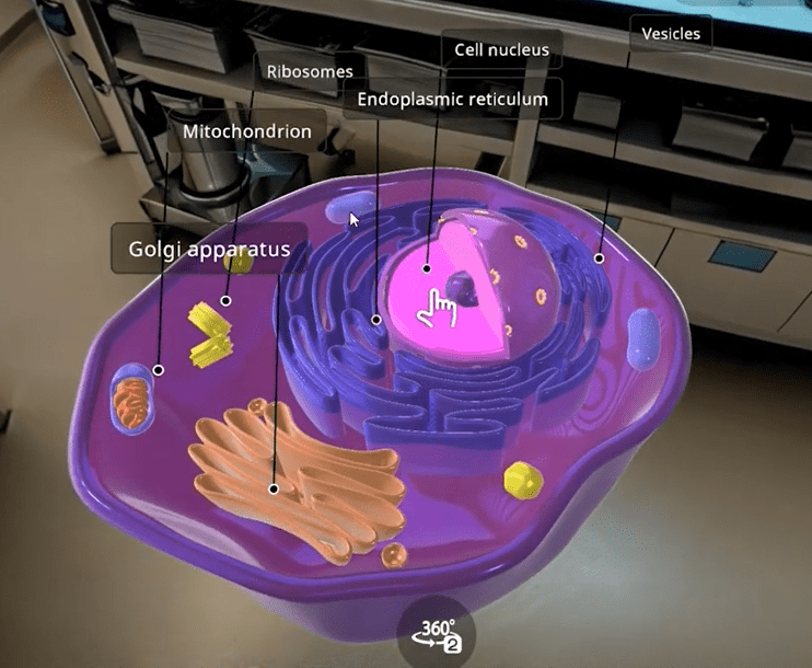 Spatial IQ Automatic Annotation Generator